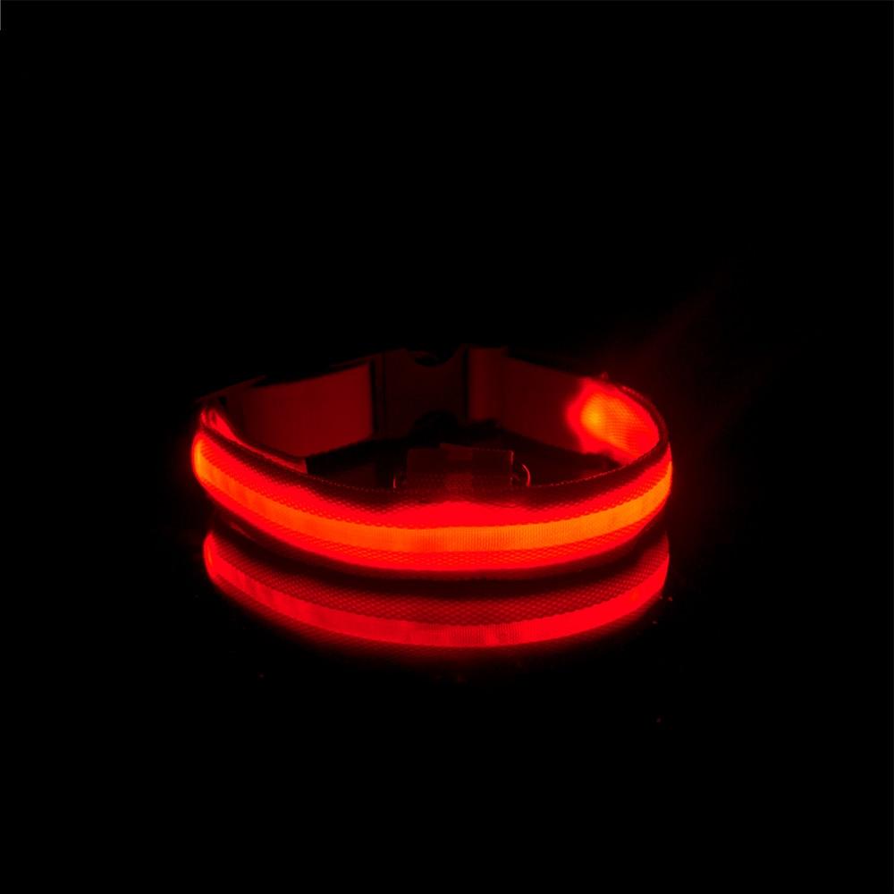 LedCollar™ - Collier à LED rechargeable pour chien - Toutoucoeur