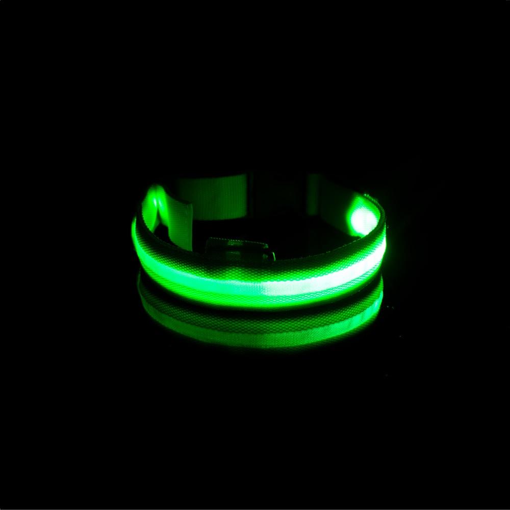 LedCollar™ - Collier à LED rechargeable pour chien - Toutoucoeur