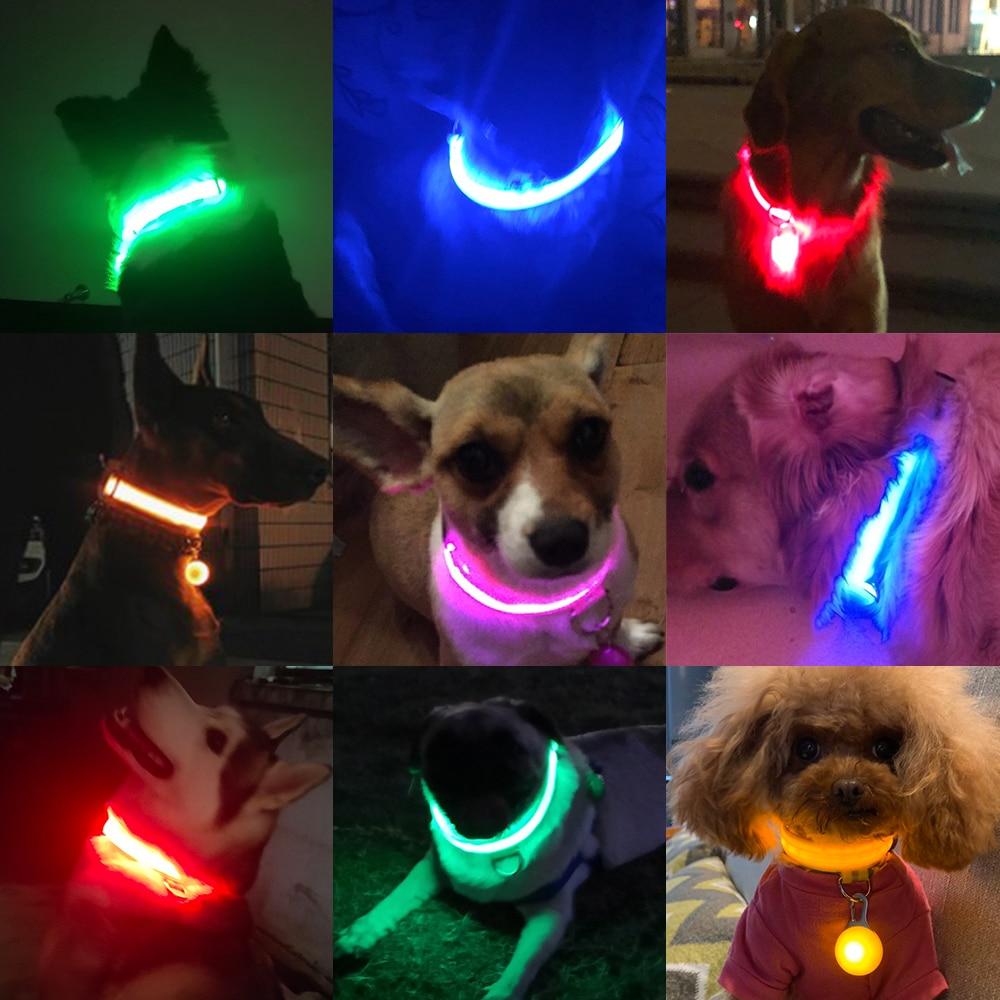 LedCollar™ - Collier à LED rechargeable pour chien - Toutoucoeur